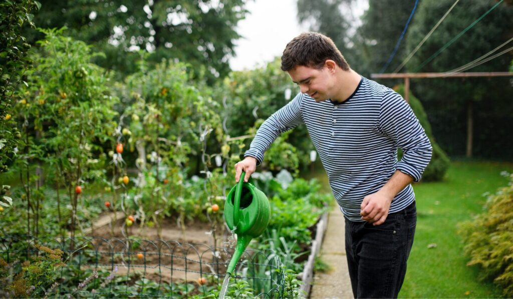 Man waters garden with green watering can, striped shirt, tomatoes, overcast day, natural light, medium shot, peaceful, lush greenery, backyard setting.